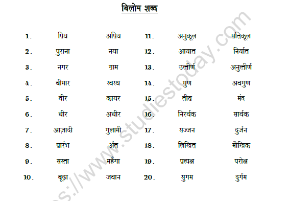 opposite-words-in-hindi-for-class-3-cbse-amber-mclean-s-english-worksheets